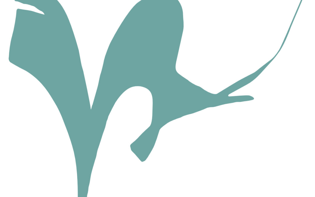 verlust und finden