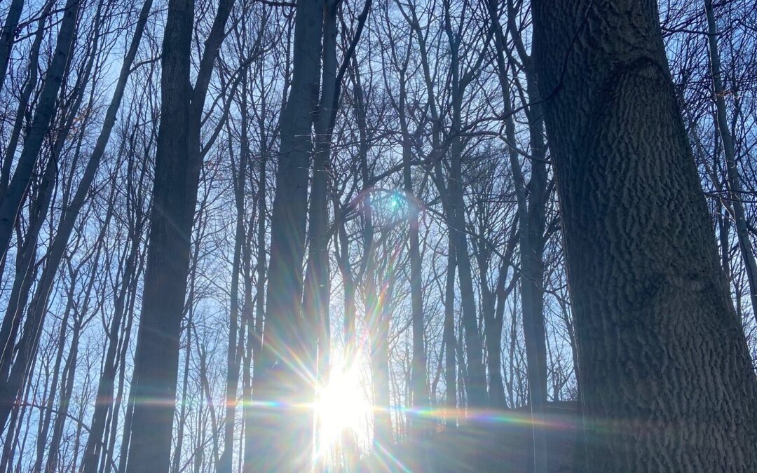 VERLUST&FINDEN  – Zwischenraum in Dir